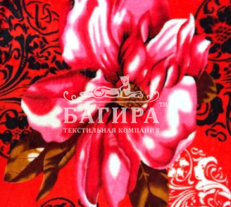 Элегантность