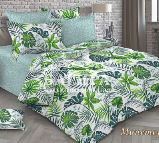 Монстера вид 2