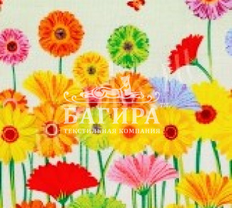 Герберы Салатовый