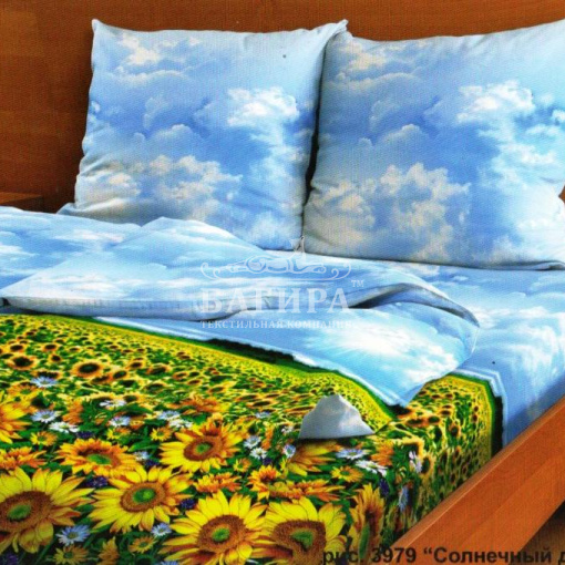 Солнечный день