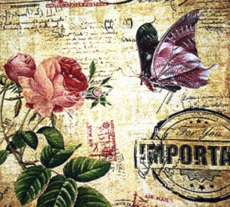 Бабочка и роза