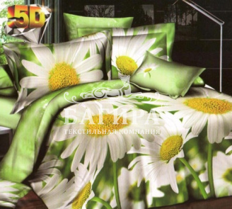 Садовые ромашки