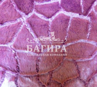 Брусника с камнями