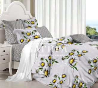 Ромашки полевые