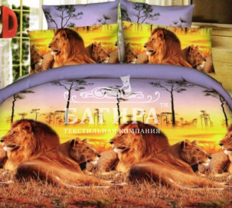 Отдых львов