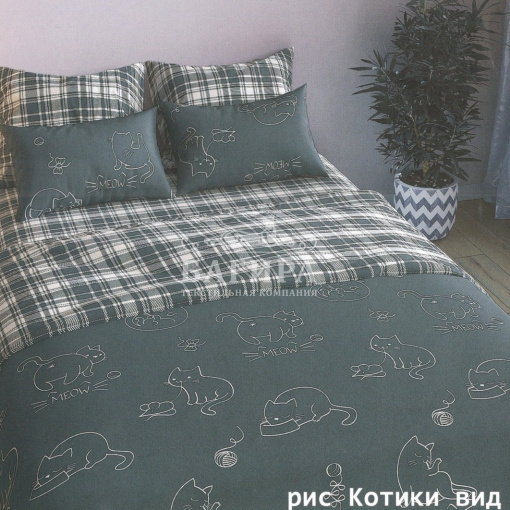 Котики вид 1