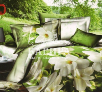 Белая сакура 2