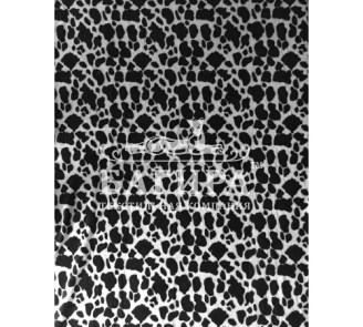 Далматинец