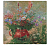Полевые цветы Картинка 10669437