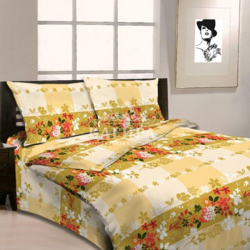 Силуэтная клетка вид 2