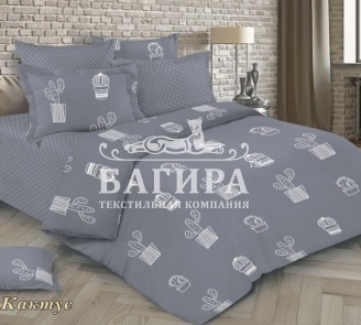 Кактусы