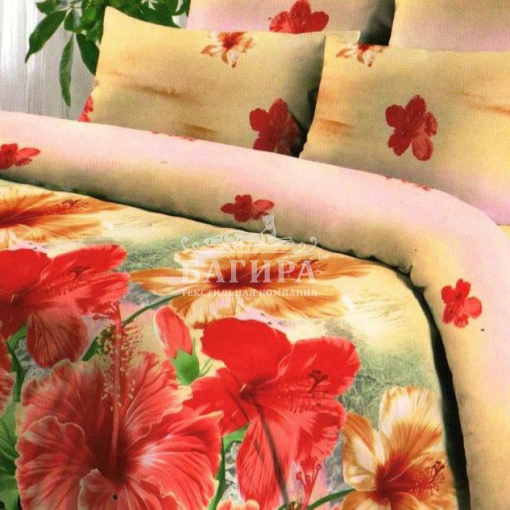 Цветы зимой