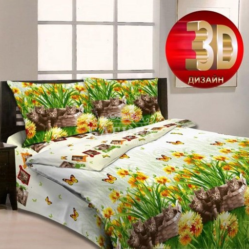 Котята на лужайке