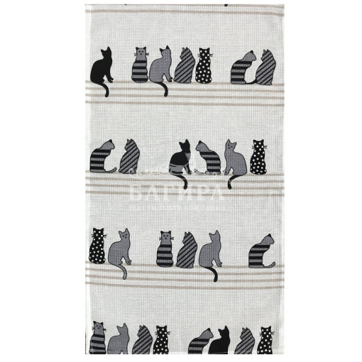 Котики белый