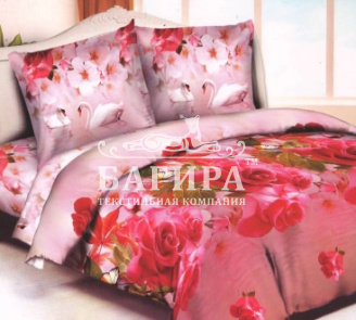 Пара лебедей 3