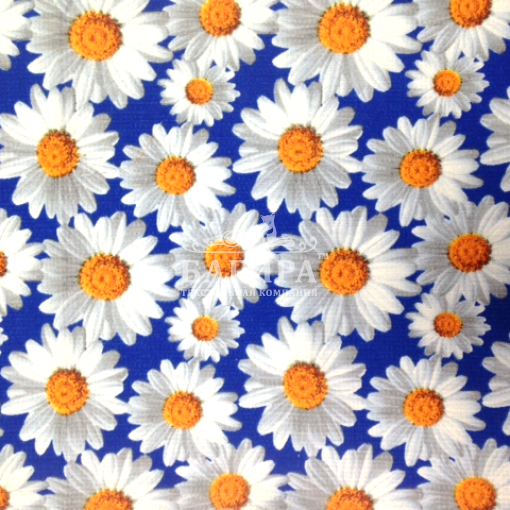 Ромашки синий
