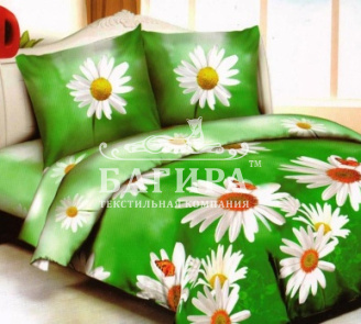 Ромашки 2 вид 1