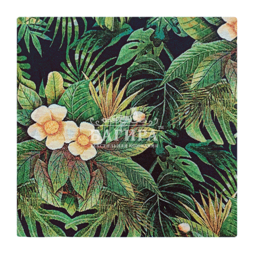 Тропический лес