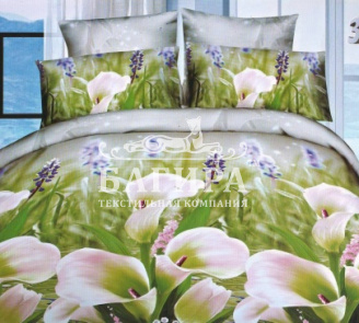 Каллы в поле