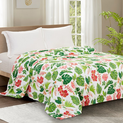 Флорида (софт)