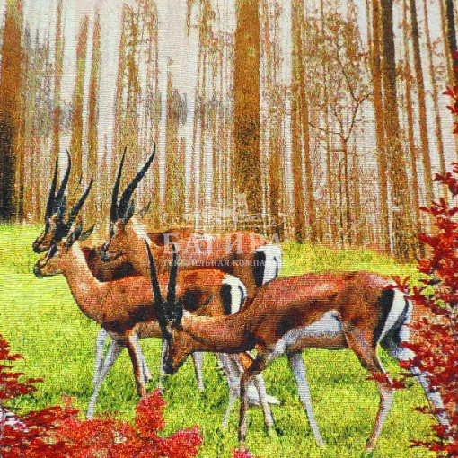 Косули