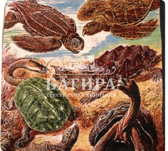 Подводный мир